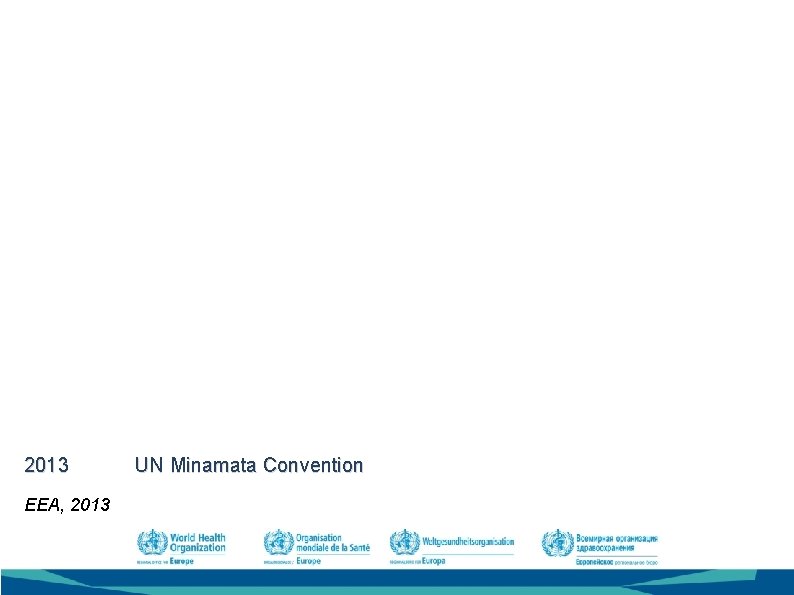 2013 UN Minamata Convention EEA, 2013 