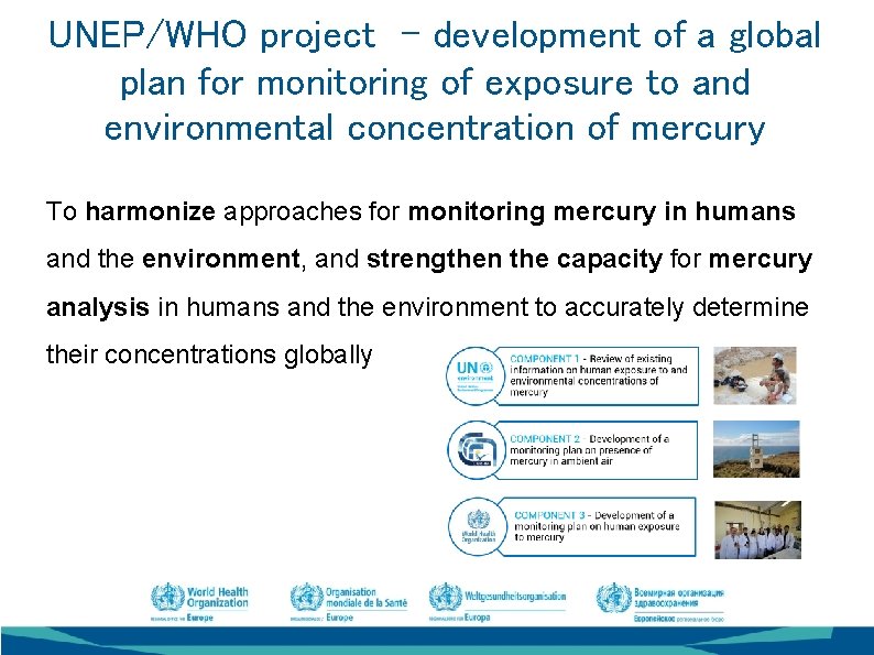 UNEP/WHO project - development of a global plan for monitoring of exposure to and