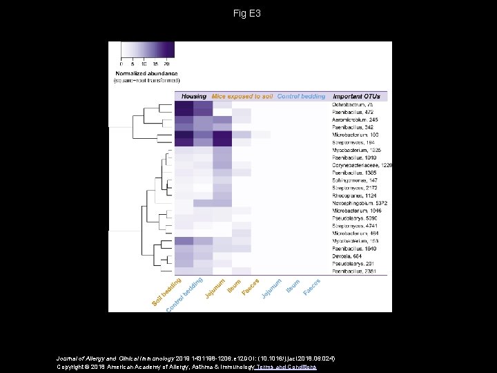 Fig E 3 Journal of Allergy and Clinical Immunology 2019 1431198 -1206. e 12