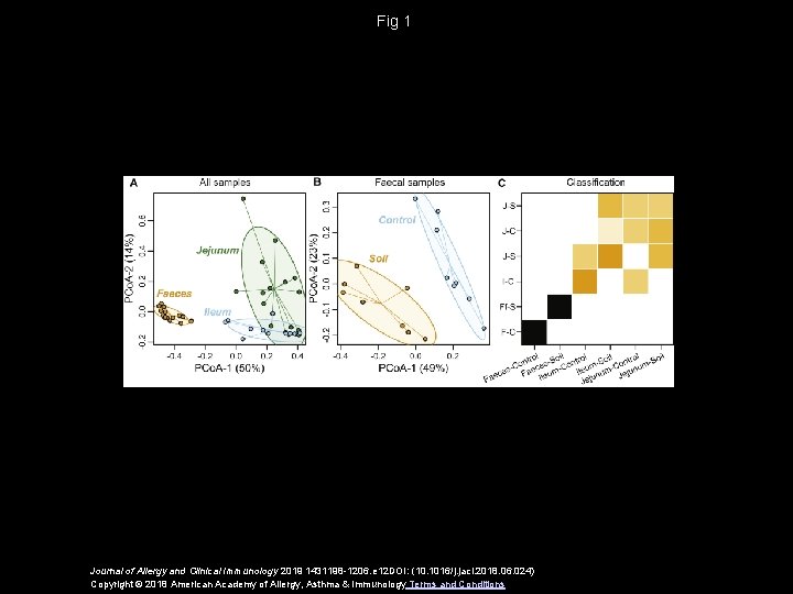 Fig 1 Journal of Allergy and Clinical Immunology 2019 1431198 -1206. e 12 DOI: