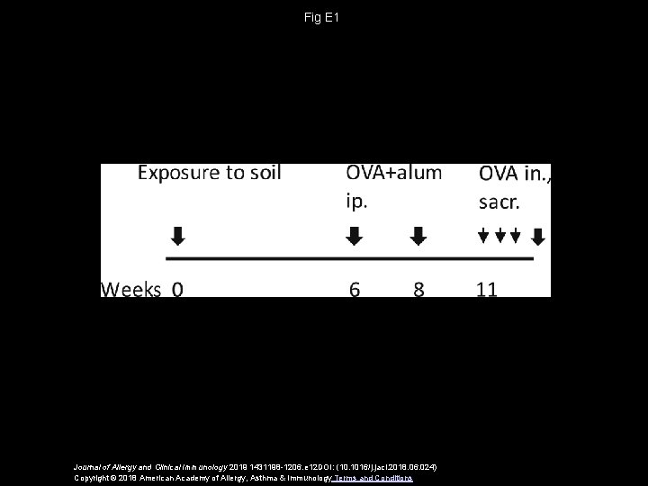 Fig E 1 Journal of Allergy and Clinical Immunology 2019 1431198 -1206. e 12