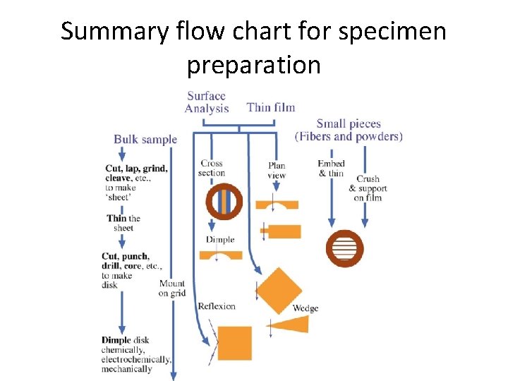 Summary flow chart for specimen preparation 