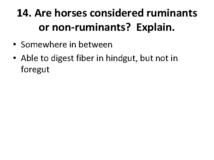 14. Are horses considered ruminants or non-ruminants? Explain. • Somewhere in between • Able