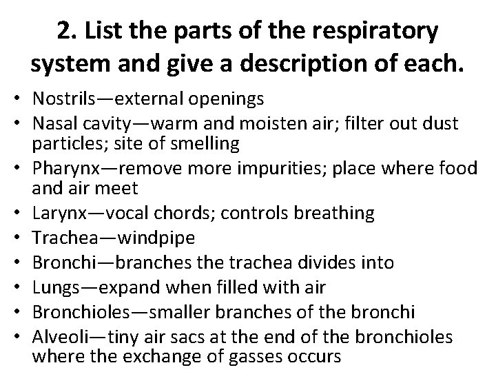 2. List the parts of the respiratory system and give a description of each.