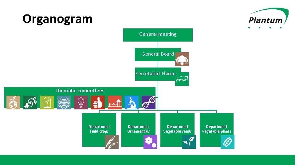 Organogram General meeting General Board Secretariat Plantum Thematic committees Department Field crops Department Ornamentals