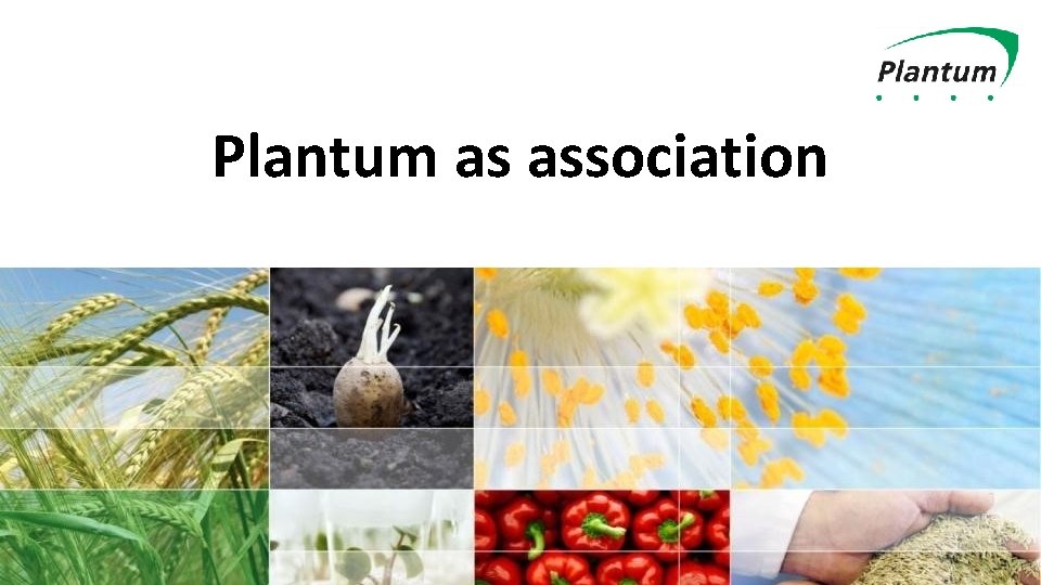 Plantum as association 