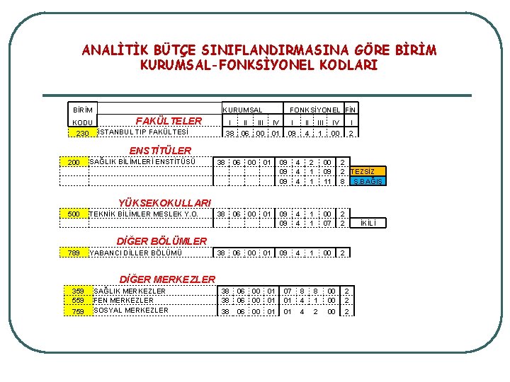 ANALİTİK BÜTÇE SINIFLANDIRMASINA GÖRE BİRİM KURUMSAL-FONKSİYONEL KODLARI BİRİM KODU 230 KURUMSAL FAKÜLTELER İSTANBUL TIP