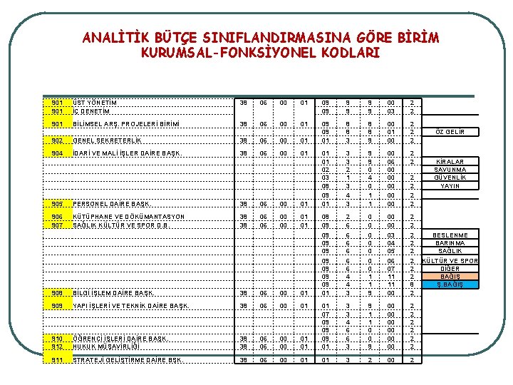 ANALİTİK BÜTÇE SINIFLANDIRMASINA GÖRE BİRİM KURUMSAL-FONKSİYONEL KODLARI 901 ÜST YÖNETİM İÇ DENETİM 38 06