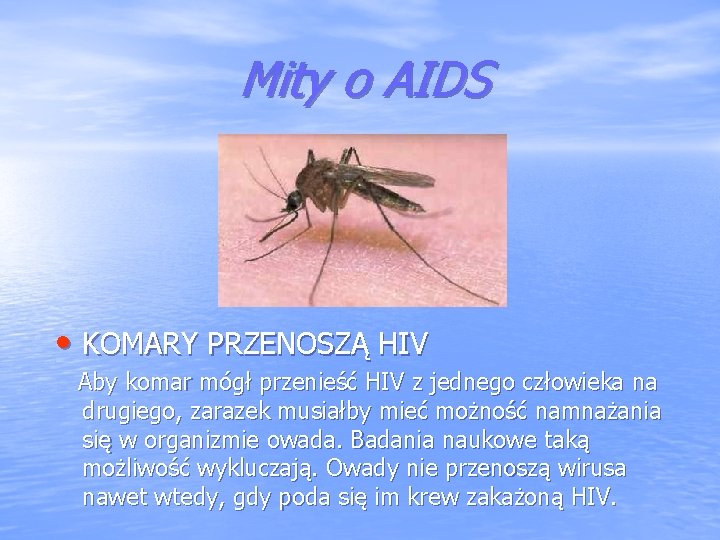 Mity o AIDS • KOMARY PRZENOSZĄ HIV Aby komar mógł przenieść HIV z jednego