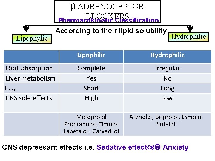  ADRENOCEPTOR BLOCKERS Pharmacokinetic Classification Lipophylic According to their lipid solubility Oral absorption Liver