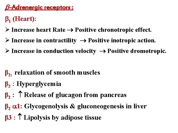  –Adrenergic receptors : 1 (Heart): Ø Increase heart Rate Positive chronotropic effect. Ø