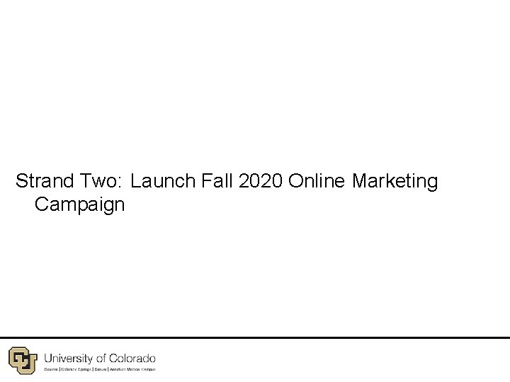 Strand Two: Launch Fall 2020 Online Marketing Campaign 