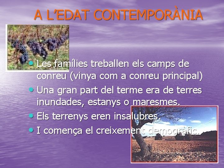 A L’EDAT CONTEMPORÀNIA • Les famílies treballen els camps de conreu (vinya com a A L’EDAT CONTEMPORÀNIA • Les famílies treballen els camps de conreu (vinya com a