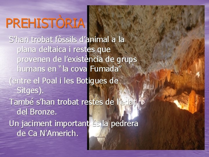 PREHISTÒRIA S’han trobat fòssils d’animal a la plana deltaica i restes que provenen de PREHISTÒRIA S’han trobat fòssils d’animal a la plana deltaica i restes que provenen de