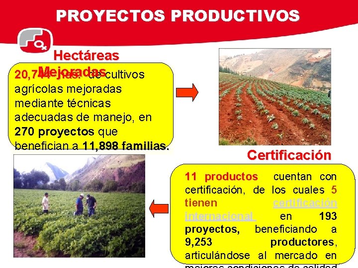 PROYECTOS PRODUCTIVOS Hectáreas Mejoradas 20, 744 has. de cultivos agrícolas mejoradas mediante técnicas adecuadas