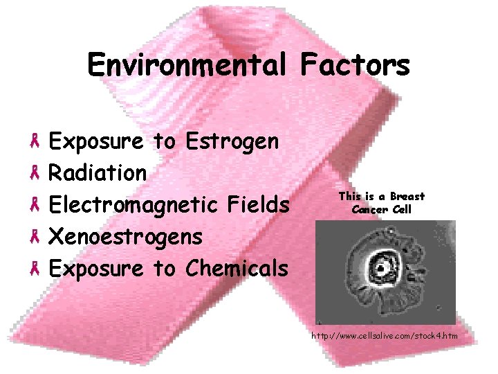 Environmental Factors Exposure to Estrogen Radiation Electromagnetic Fields Xenoestrogens Exposure to Chemicals This is