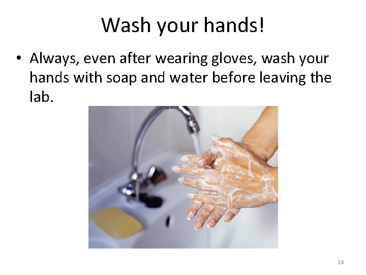 Wash your hands! • Always, even after wearing gloves, wash your hands with soap