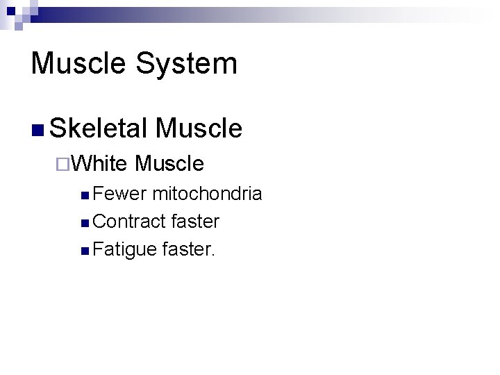 Muscle System n Skeletal ¨White Muscle n Fewer mitochondria n Contract faster n Fatigue