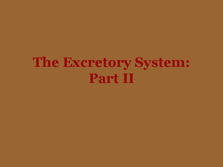 The Excretory System: Part II 