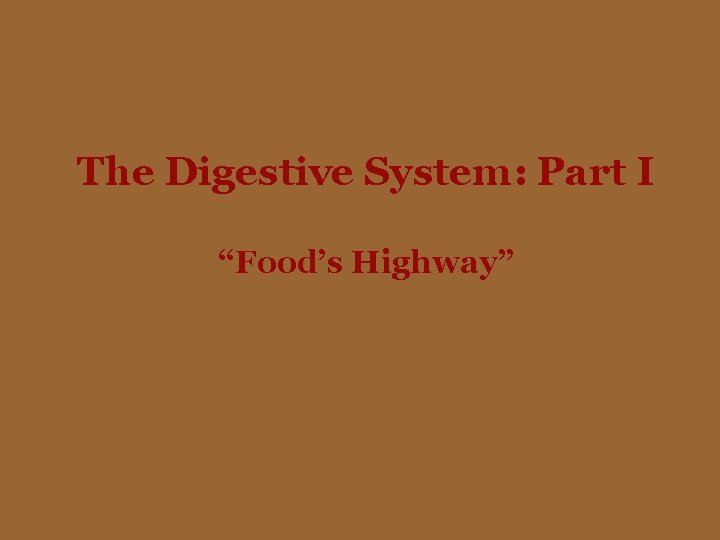 The Digestive System: Part I “Food’s Highway” 