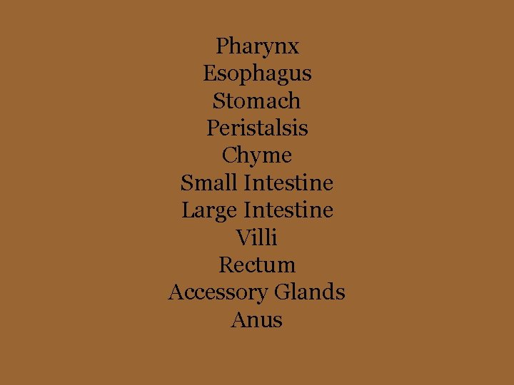Pharynx Esophagus Stomach Peristalsis Chyme Small Intestine Large Intestine Villi Rectum Accessory Glands Anus