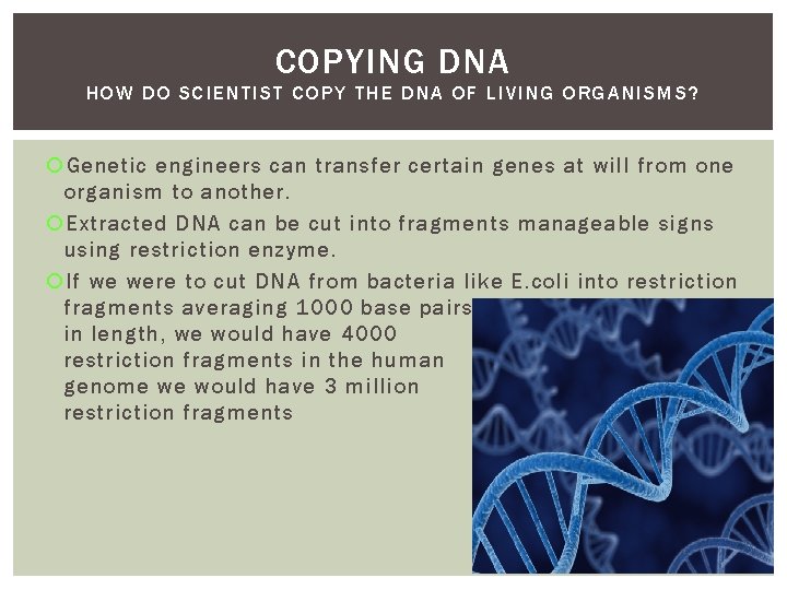 COPYING DNA HOW DO SCIENTIST COPY THE DNA OF LIVING ORGANISMS? Genetic engineers can