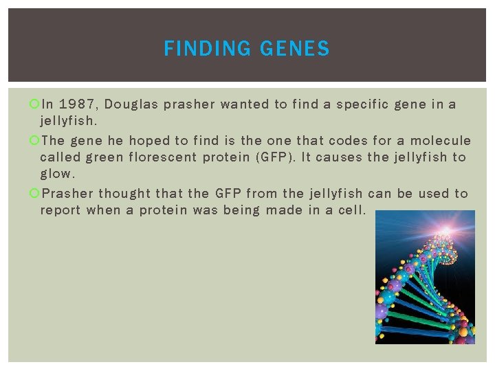 FINDING GENES In 1987, Douglas prasher wanted to find a specific gene in a