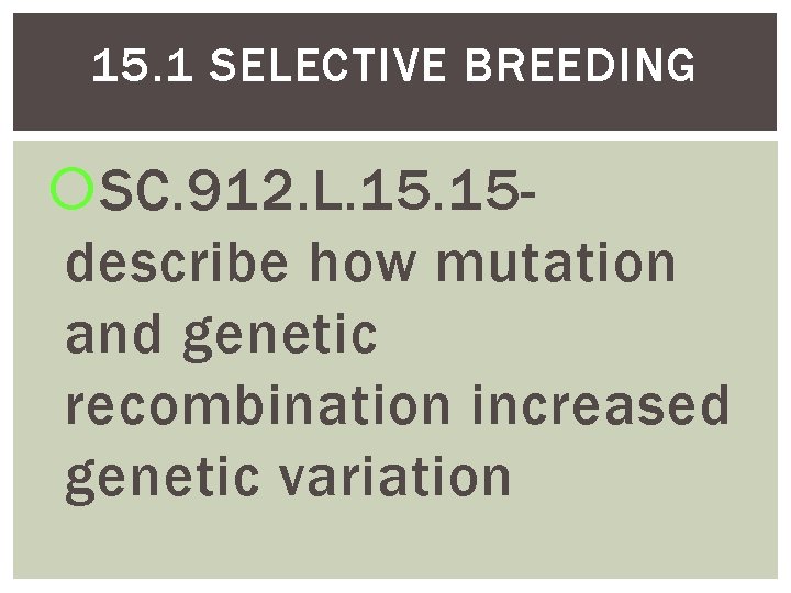 15. 1 SELECTIVE BREEDING SC. 912. L. 15 describe how mutation and genetic recombination 15. 1 SELECTIVE BREEDING SC. 912. L. 15 describe how mutation and genetic recombination