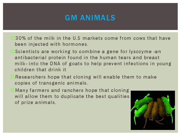 GM ANIMALS 30% of the milk in the U. S markets come from cows GM ANIMALS 30% of the milk in the U. S markets come from cows