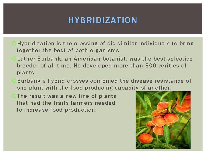 HYBRIDIZATION Hybridization is the crossing of dis-similar individuals to bring together the best of