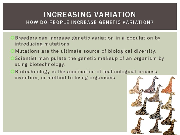 INCREASING VARIATION HOW DO PEOPLE INCREASE GENETIC VARIAT IO N? Breeders can increase genetic INCREASING VARIATION HOW DO PEOPLE INCREASE GENETIC VARIAT IO N? Breeders can increase genetic