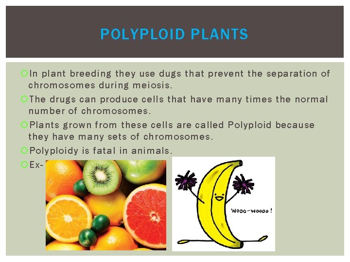 POLYPLOID PLANTS In plant breeding they use dugs that prevent the separation of chromosomes