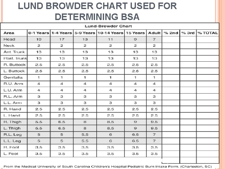 LUND BROWDER CHART USED FOR DETERMINING BSA 13 Evans, 18. 1, 2007) LUND BROWDER CHART USED FOR DETERMINING BSA 13 Evans, 18. 1, 2007)