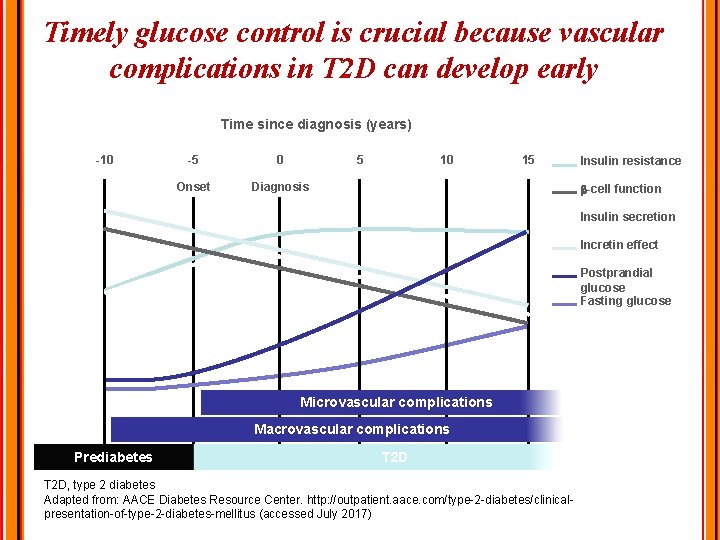 Timely glucose control is crucial because vascular complications in T 2 D can develop