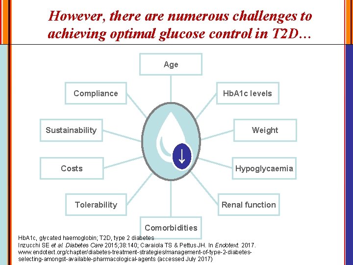 However, there are numerous challenges to achieving optimal glucose control in T 2 D…