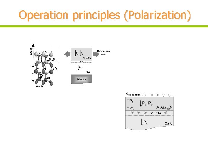 Operation principles (Polarization) 