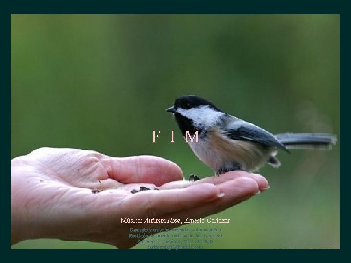 F I M Música: Autumn Rose, Ernesto Cortázar Concepto y creación original de autor