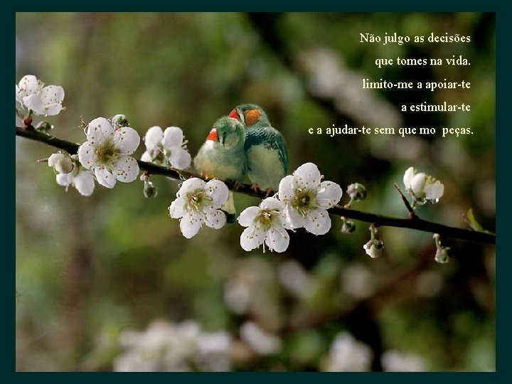 Não julgo as decisões que tomes na vida. limito-me a apoiar-te a estimular-te e