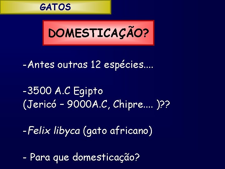 GATOS DOMESTICAÇÃO? -Antes outras 12 espécies. . -3500 A. C Egipto (Jericó – 9000