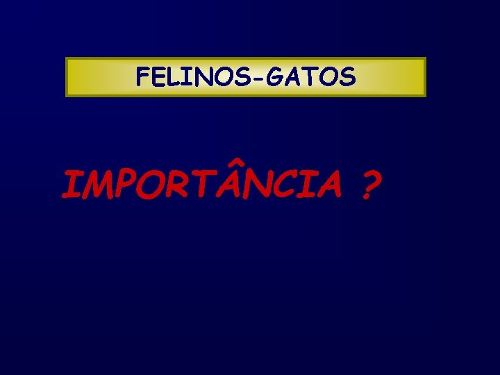 FELINOS-GATOS IMPORT NCIA ? 