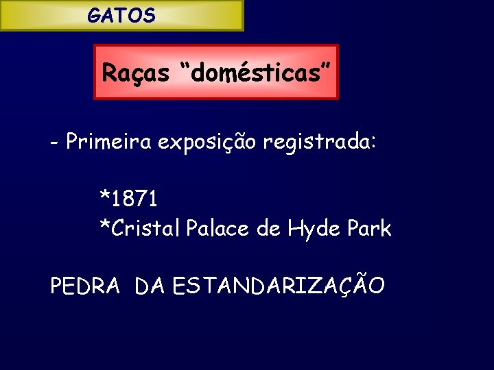 GATOS Raças “domésticas” - Primeira exposição registrada: *1871 *Cristal Palace de Hyde Park PEDRA