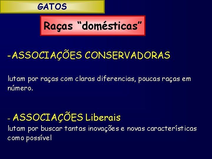 GATOS Raças “domésticas” -ASSOCIAÇÕES CONSERVADORAS lutam por raças com claras diferencias, poucas raças em