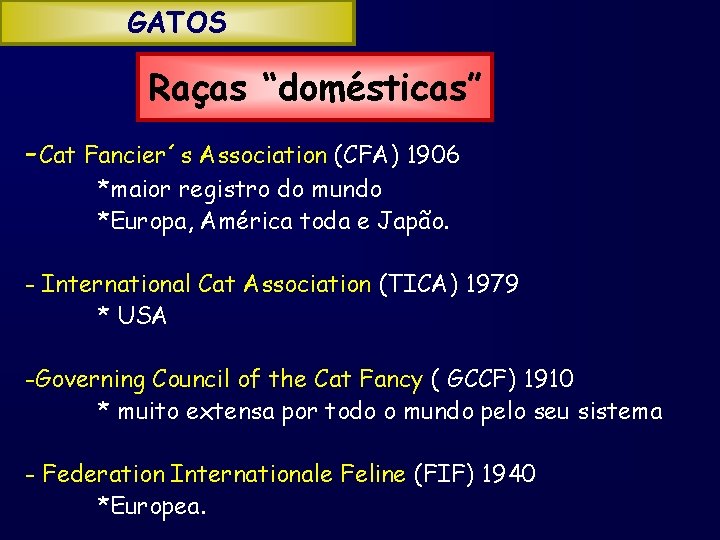 GATOS Raças “domésticas” -Cat Fancier´s Association (CFA) 1906 *maior registro do mundo *Europa, América