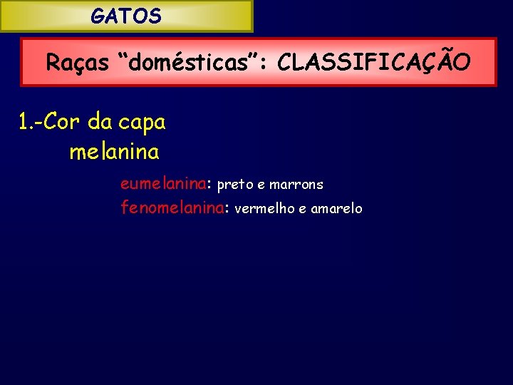 GATOS Raças “domésticas”: CLASSIFICAÇÃO 1. -Cor da capa melanina eumelanina: preto e marrons fenomelanina: