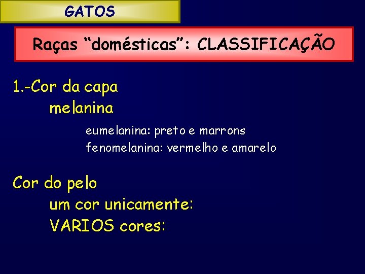 GATOS Raças “domésticas”: CLASSIFICAÇÃO 1. -Cor da capa melanina eumelanina: preto e marrons fenomelanina: