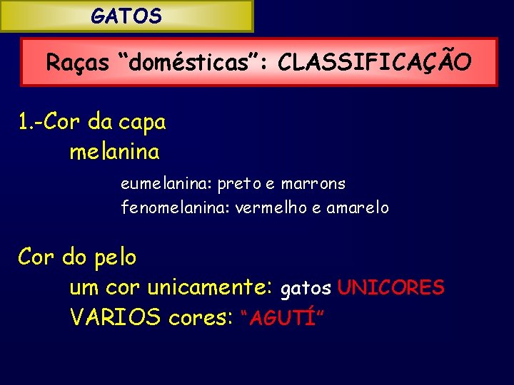 GATOS Raças “domésticas”: CLASSIFICAÇÃO 1. -Cor da capa melanina eumelanina: preto e marrons fenomelanina: