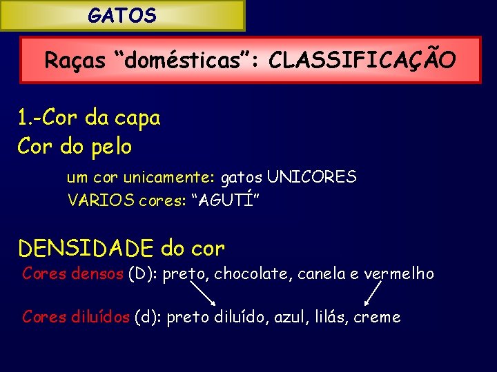 GATOS Raças “domésticas”: CLASSIFICAÇÃO 1. -Cor da capa Cor do pelo um cor unicamente: