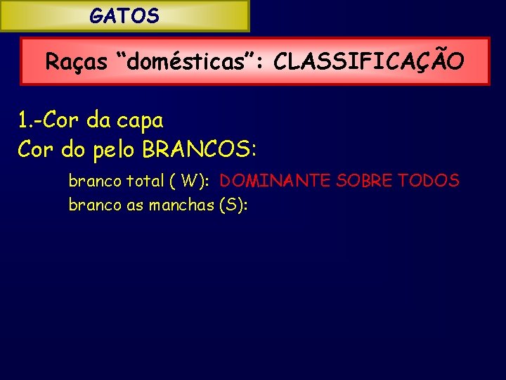 GATOS Raças “domésticas”: CLASSIFICAÇÃO 1. -Cor da capa Cor do pelo BRANCOS: branco total