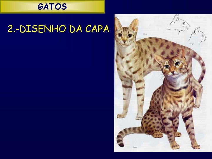 GATOS 2. -DISENHO DA CAPA 