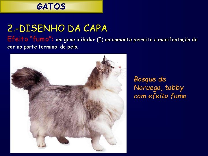 GATOS 2. -DISENHO DA CAPA Efeito “fumo”: um gene inibidor (I) unicamente permite a